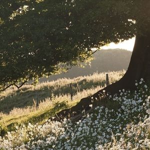 𝚂𝚘𝚕𝚍 𝚋𝚎𝚢𝚘𝚗𝚍 𝚝𝚑𝚒𝚜 𝚙𝚘𝚒𝚗𝚝!